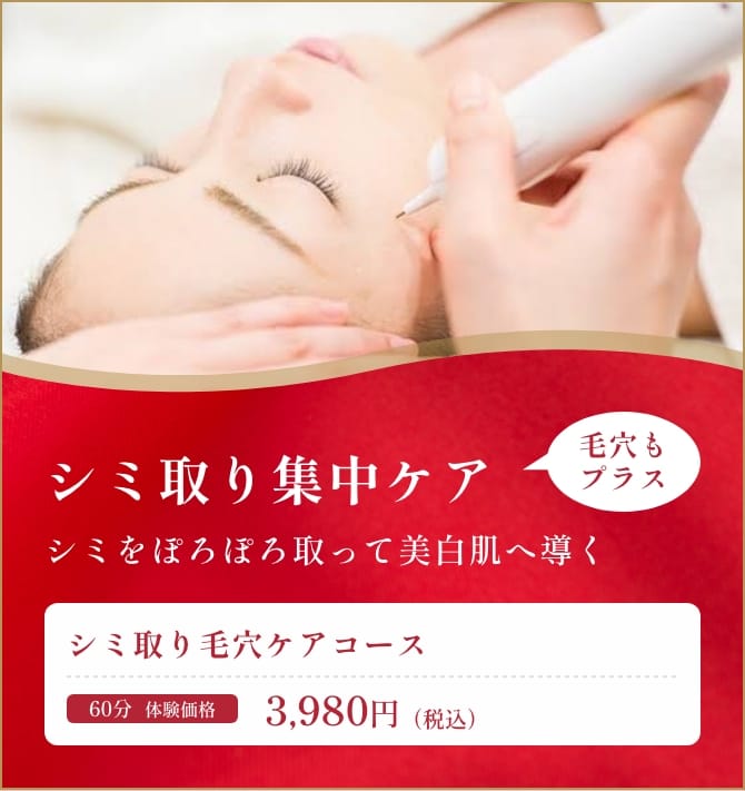 シミ取り毛穴ケアコース